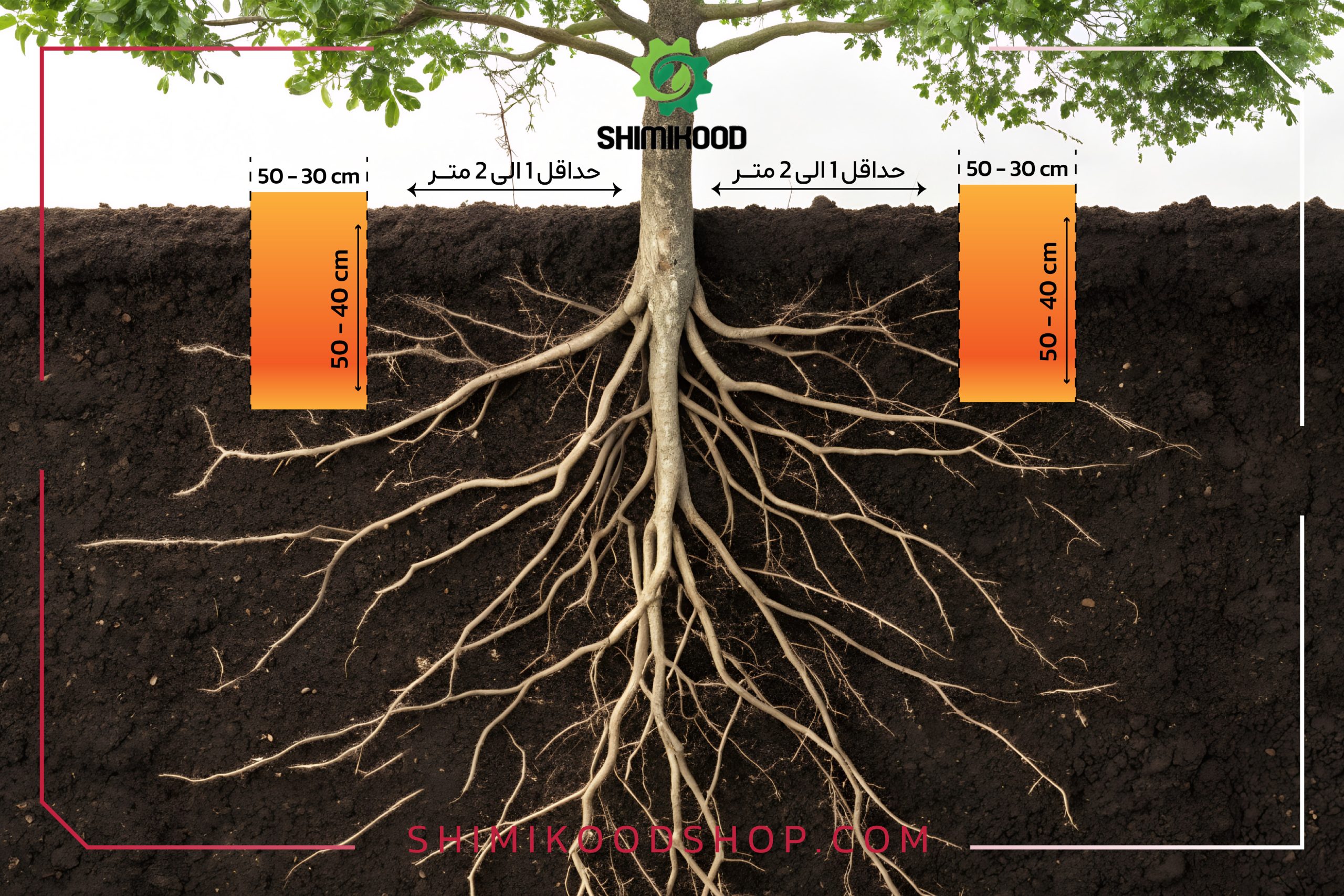 روش چالکود درختان